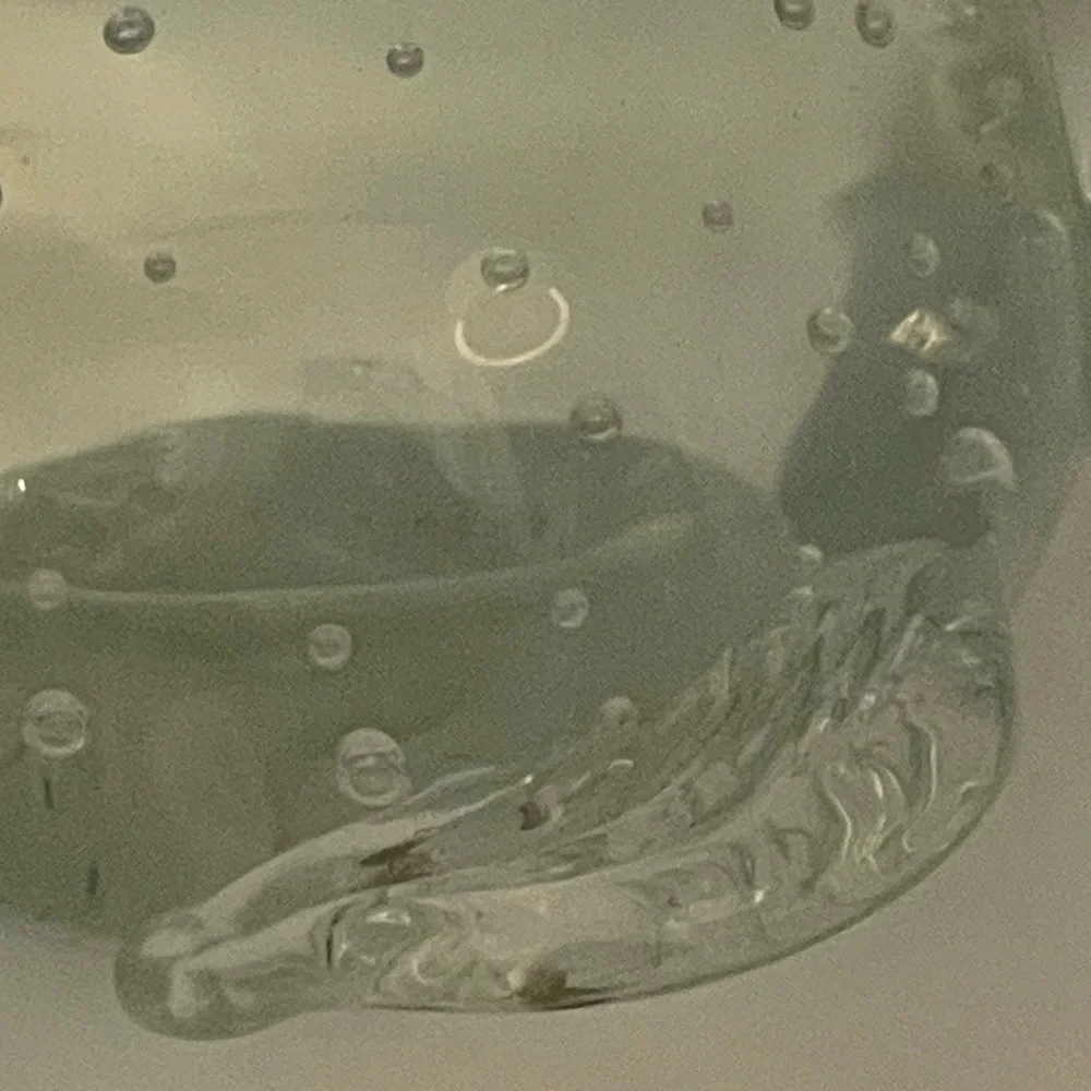 West Elm: Hand Blown Sea Turtle Clear Glass Paperweight with Bullicante Bubbles